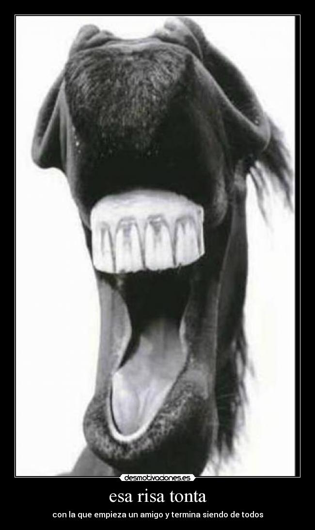esa risa tonta - con la que empieza un amigo y termina siendo de todos