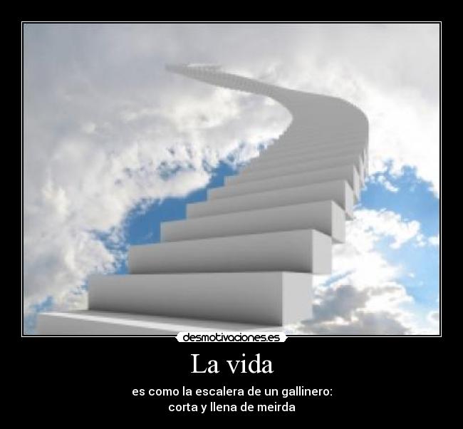 La vida - es como la escalera de un gallinero:
corta y llena de meirda