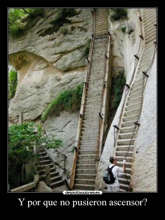 Y por que no pusieron ascensor? - 