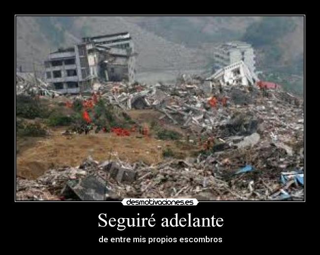 Seguiré adelante -