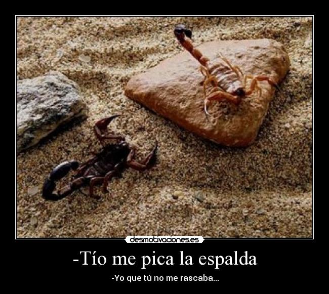 -Tío me pica la espalda - -Yo que tú no me rascaba...