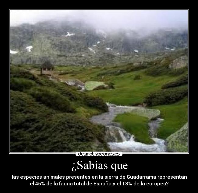 ¿Sabías que - las especies animales presentes en la sierra de Guadarrama representan
el 45% de la fauna total de España y el 18% de la europea?