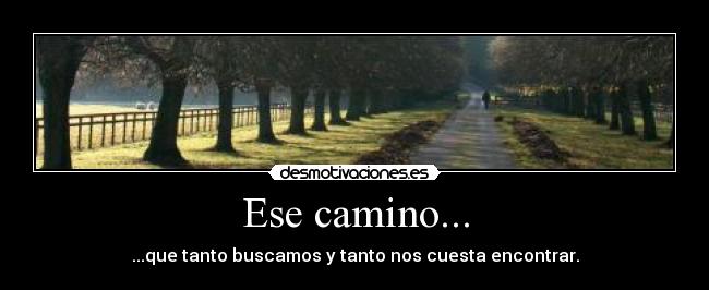 Ese camino... -