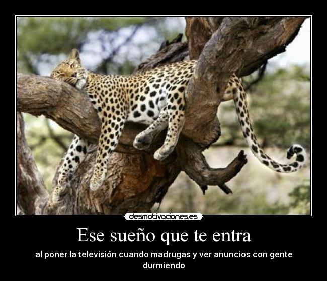 Ese sueño que te entra - al poner la televisión cuando madrugas y ver anuncios con gente durmiendo