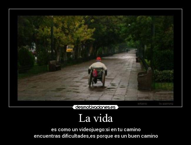 La vida -