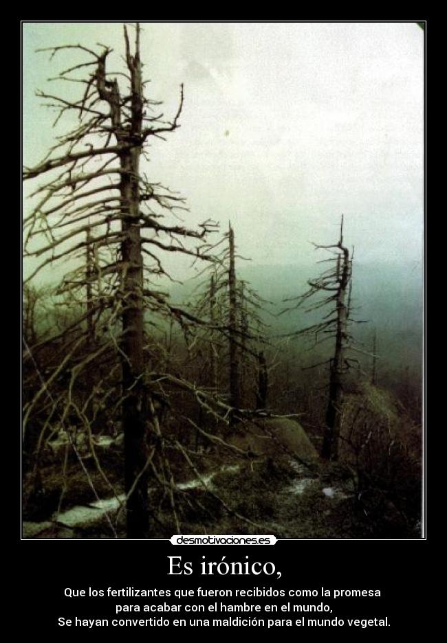 Es irónico, -