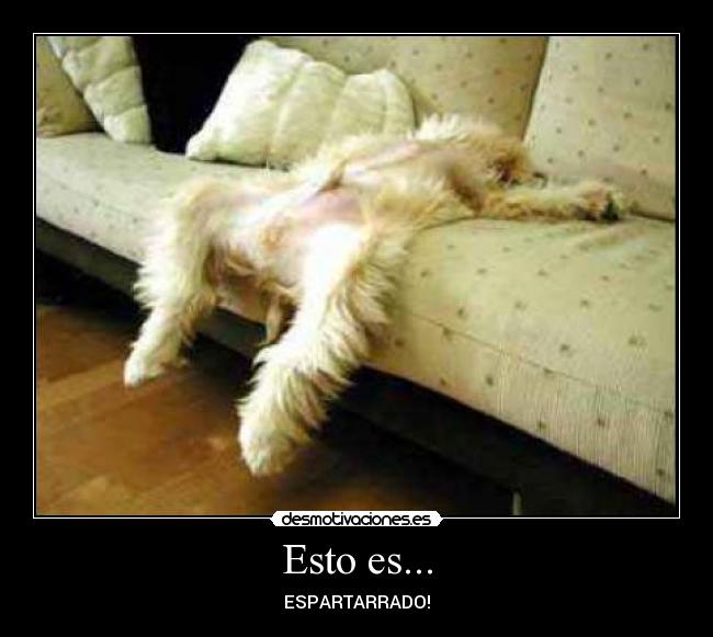 Esto es... -