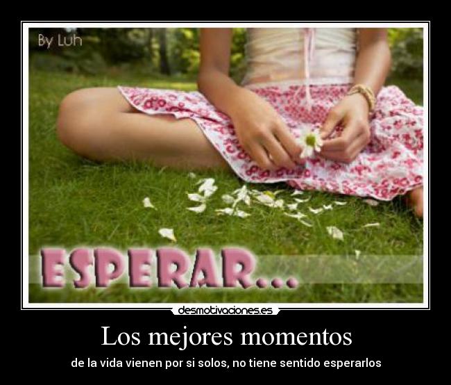 Los mejores momentos -
