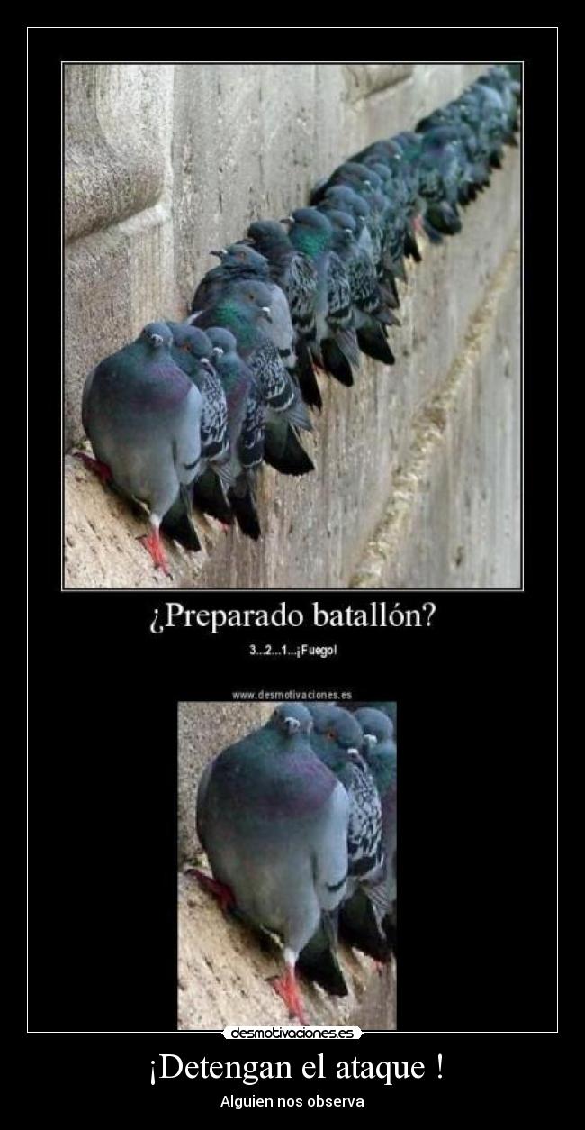 ¡Detengan el ataque ! - Alguien nos observa