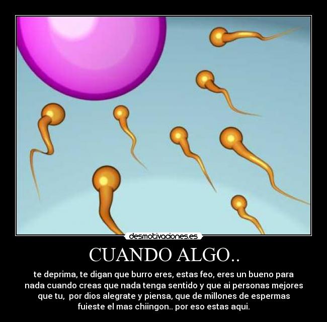 CUANDO ALGO.. - te deprima, te digan que burro eres, estas feo, eres un bueno para
nada cuando creas que nada tenga sentido y que ai personas mejores
que tu,  por dios alegrate y piensa, que de millones de espermas
fuieste el mas chiingon.. por eso estas aqui.