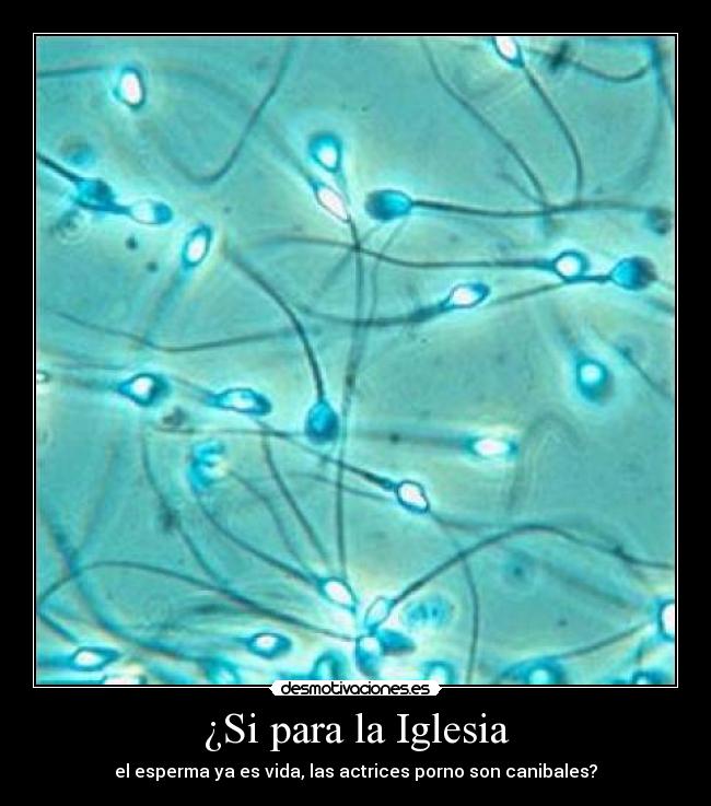 ¿Si para la Iglesia - el esperma ya es vida, las actrices porno son canibales?