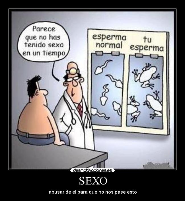 SEXO - 