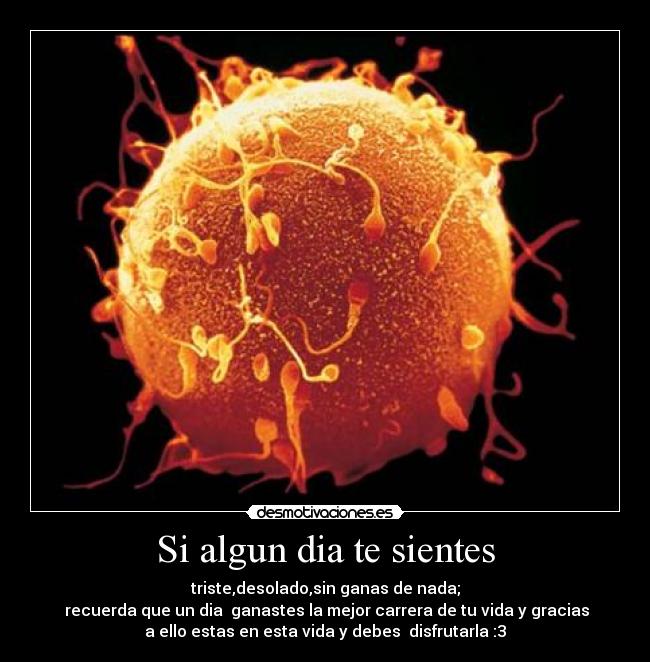 Si algun dia te sientes - triste,desolado,sin ganas de nada;
recuerda que un dia ganastes la mejor carrera de tu vida y gracias
a ello estas en esta vida y debes disfrutarla :3