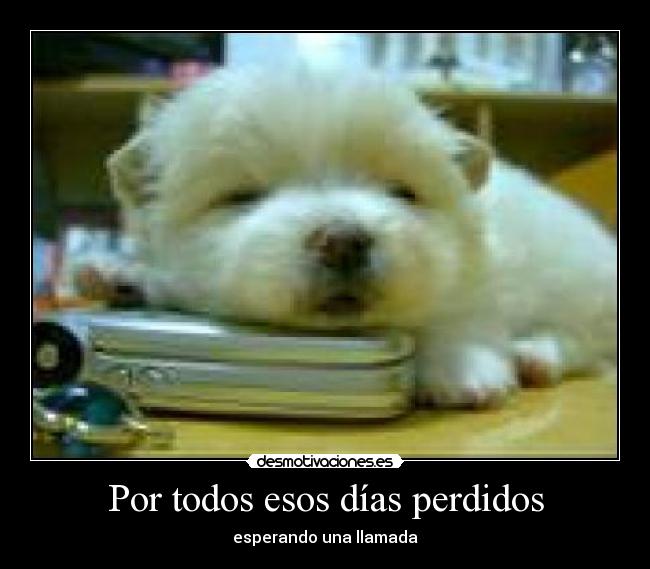 Por todos esos días perdidos - esperando una llamada