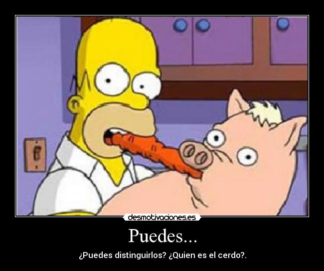 Puedes... - ¿Puedes distinguirlos? ¿Quien es el cerdo?.