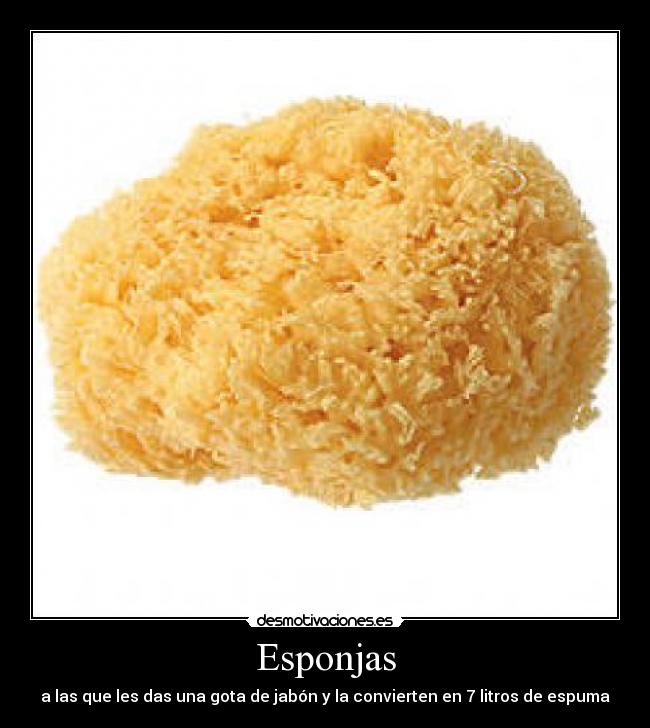 Esponjas -