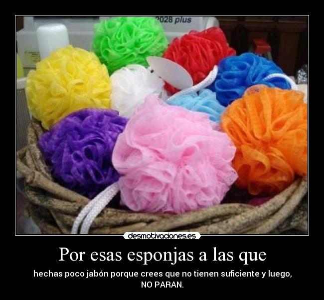 Por esas esponjas a las que - hechas poco jabón porque crees que no tienen suficiente y luego,
NO PARAN.