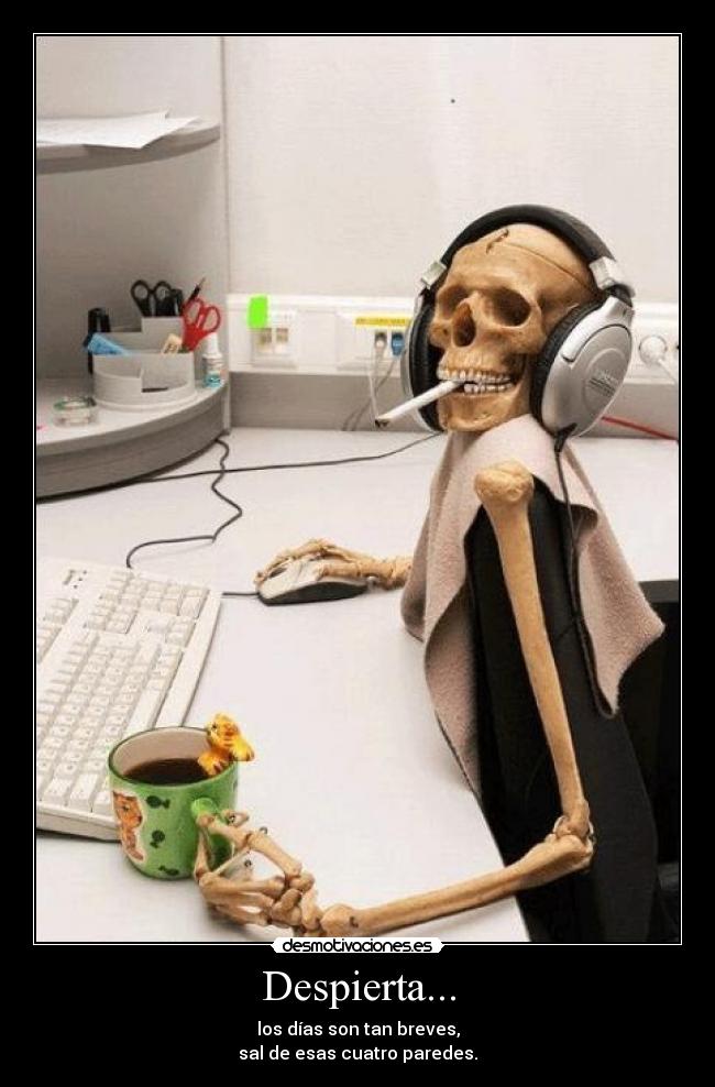Despierta... - los días son tan breves,
sal de esas cuatro paredes.