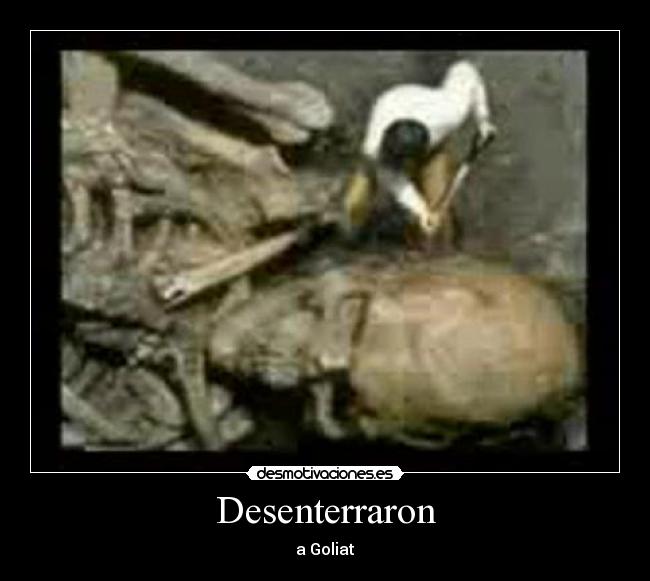 Desenterraron -