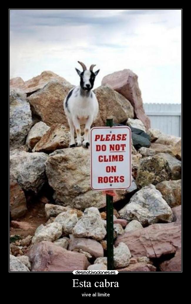 Esta cabra - vive al límite