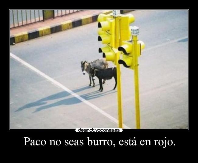 Paco no seas burro, está en rojo. -