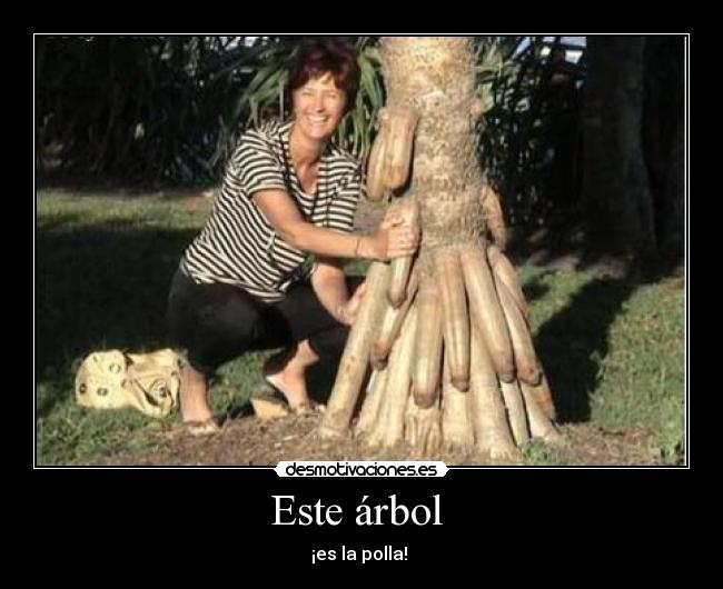 Este árbol  - 