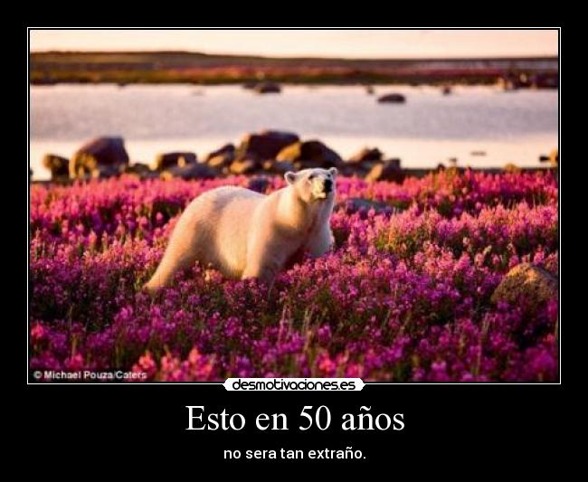 Esto en 50 años -
