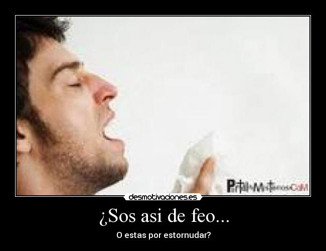 ¿Sos asi de feo... - O estas por estornudar?
