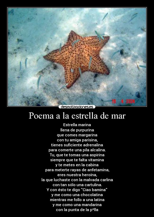 Poema a la estrella de mar - Estrella marina
llena de purpurina
que comes margarina
con tu amiga parisina,
tienes suficiente adrenalina
para comerte una pila alcalina.
Tu, que te tomas una aspirina
siempre que te falta vitamina
y te metes en la cabina
para meterte rayas de anfetamina,
eres nuestra heroína,
la que luchaste con la malvada carlina
con tan sólo una cartulina.
Y con ésto te digo Ciao bamina
y me como una chocolatina
mientras me follo a una latina
y me como una mandarina
con la punta de la p*lla