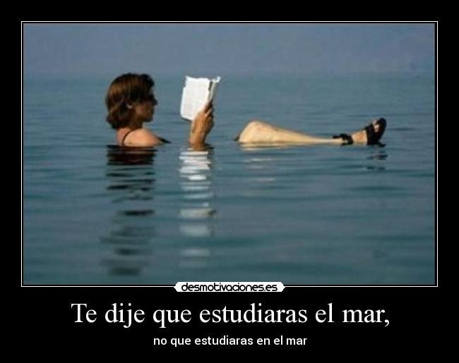 Te dije que estudiaras el mar, - no que estudiaras en el mar