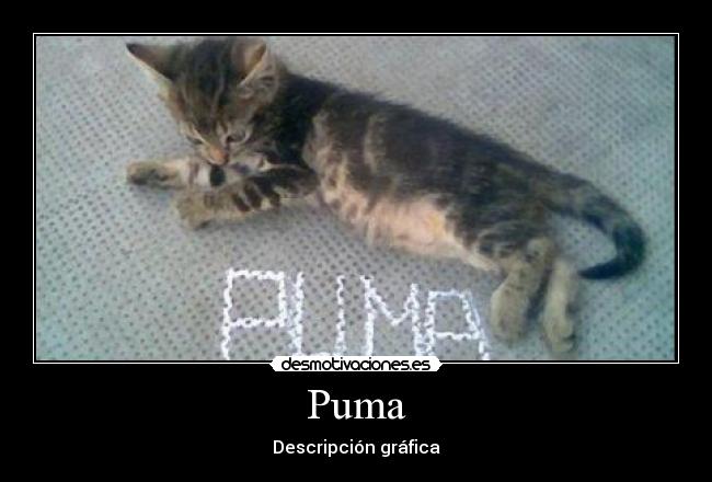 Puma - Descripción gráfica