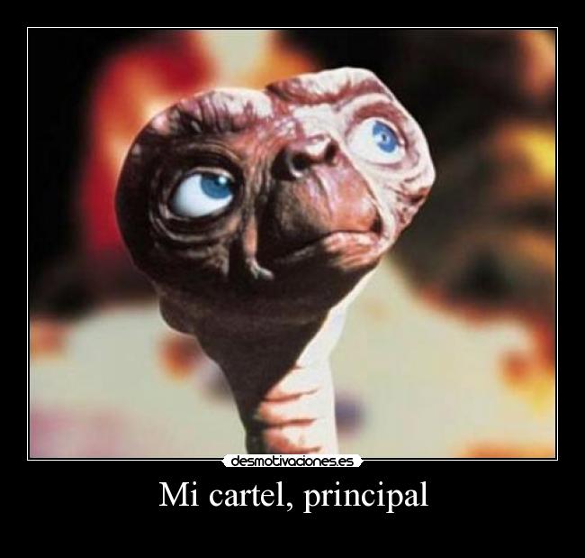 Mi cartel, principal - 