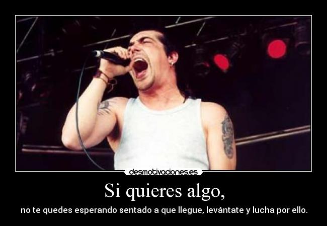 carteles lucharpoloqueamas desmotivaciones