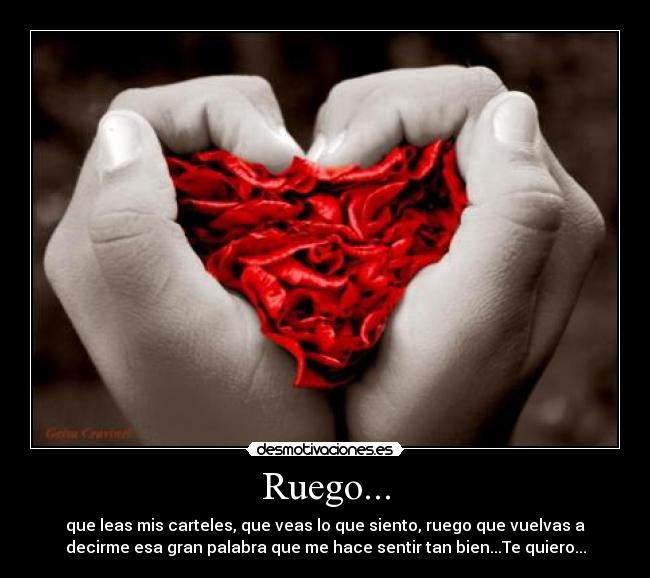 Ruego... - que leas mis carteles, que veas lo que siento, ruego que vuelvas a
decirme esa gran palabra que me hace sentir tan bien...Te quiero...