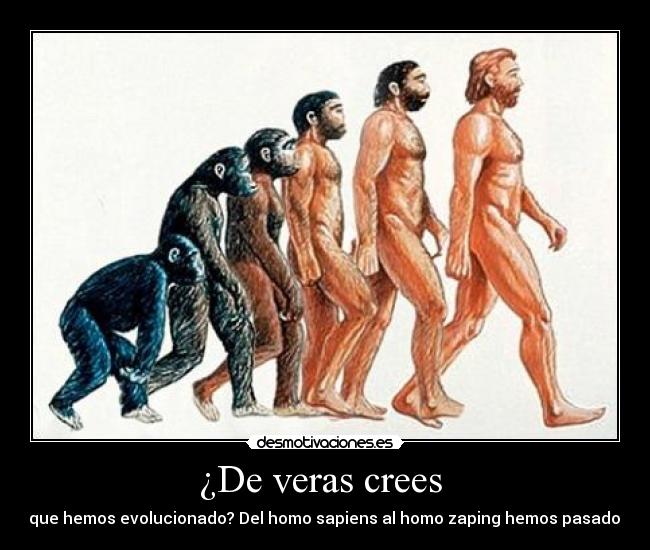 ¿De veras crees  - que hemos evolucionado? Del homo sapiens al homo zaping hemos pasado.