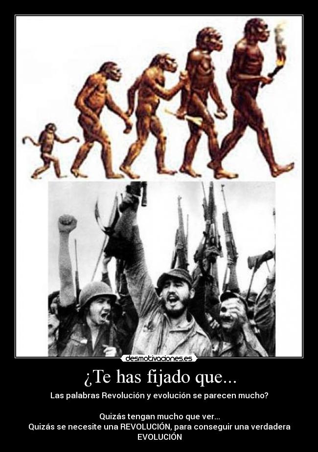 ¿Te has fijado que... - Las palabras Revolución y evolución se parecen mucho?
Quizás tengan mucho que ver...
Quizás se necesite una REVOLUCIÓN, para conseguir una verdadera EVOLUCIÓN