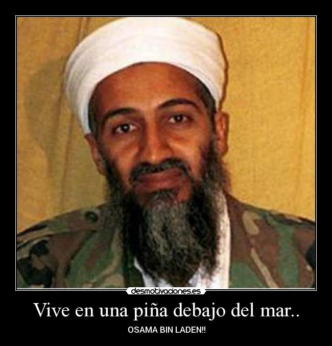 Vive en una piña debajo del mar.. - OSAMA BIN LADEN!!