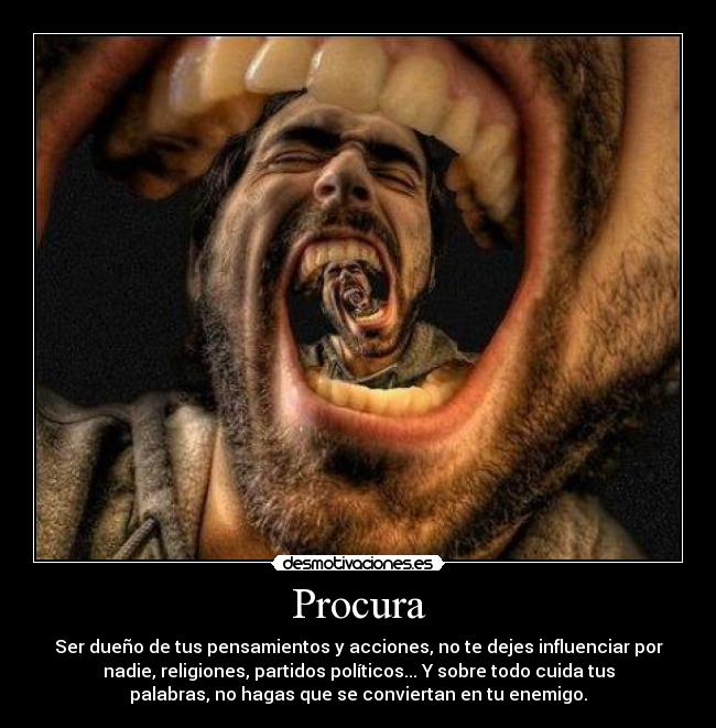 Procura - 