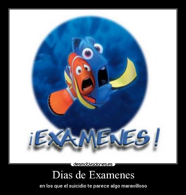 Dias de Examenes - en los que el suicidio te parece algo maravilloso