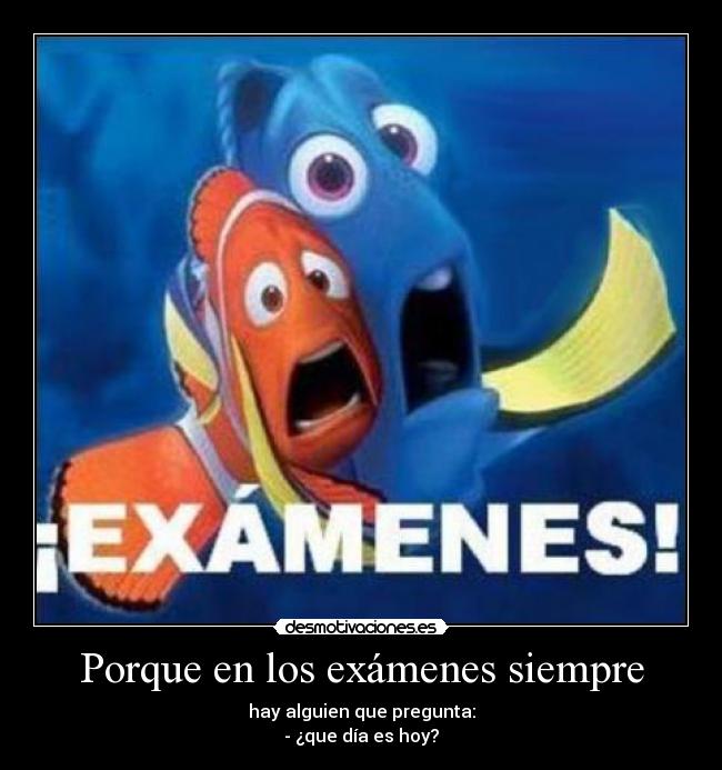 Porque en los exámenes siempre -