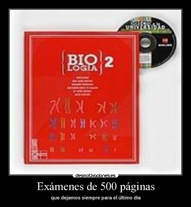 Exámenes de 500 páginas - que dejamos siempre para el último día