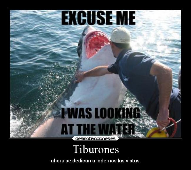 Tiburones - 