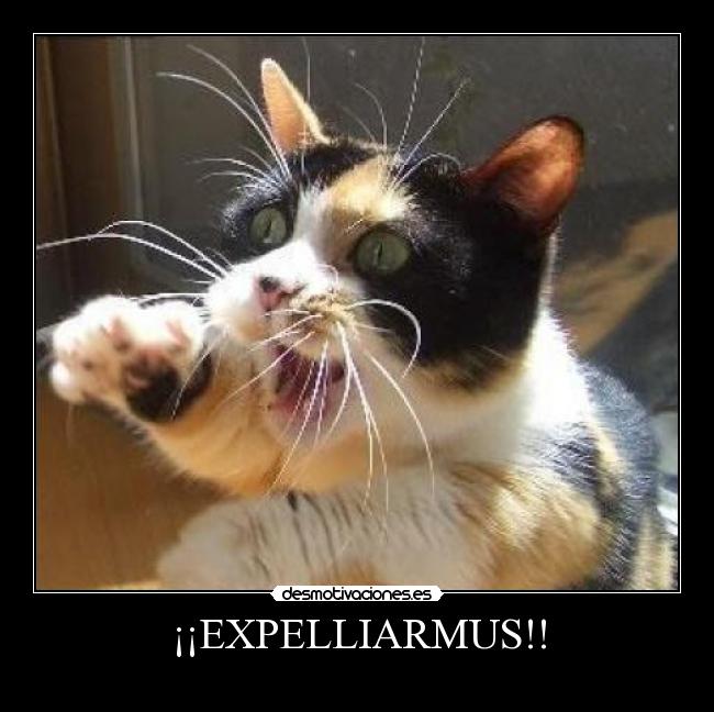 ¡¡EXPELLIARMUS!! -
