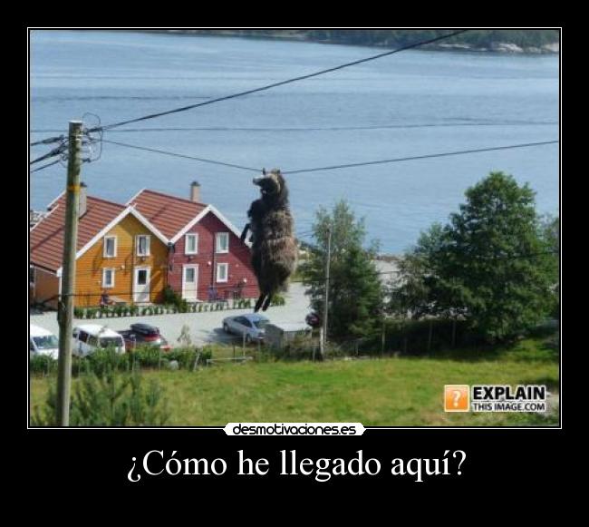 ¿Cómo he llegado aquí? - 