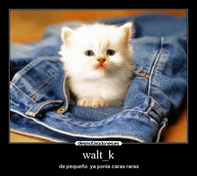 walt_k - 