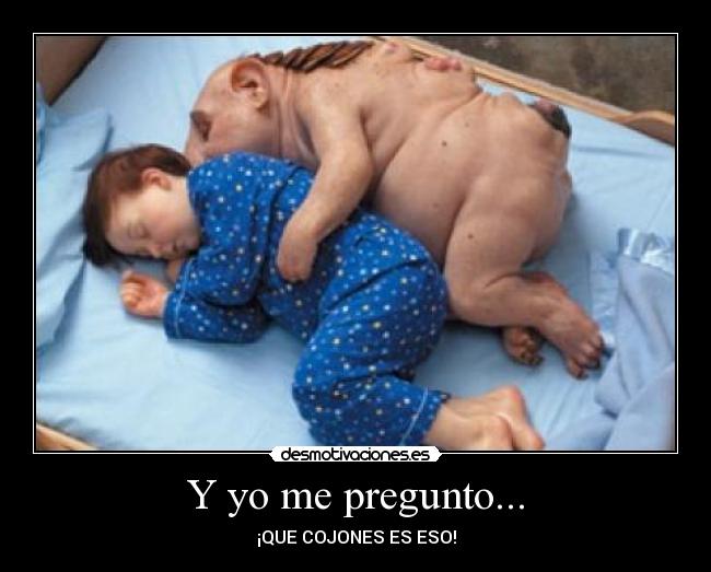 carteles pregunto cojones eso feo manolo escobar desmotivaciones