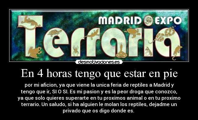 En 4 horas tengo que estar en pie -