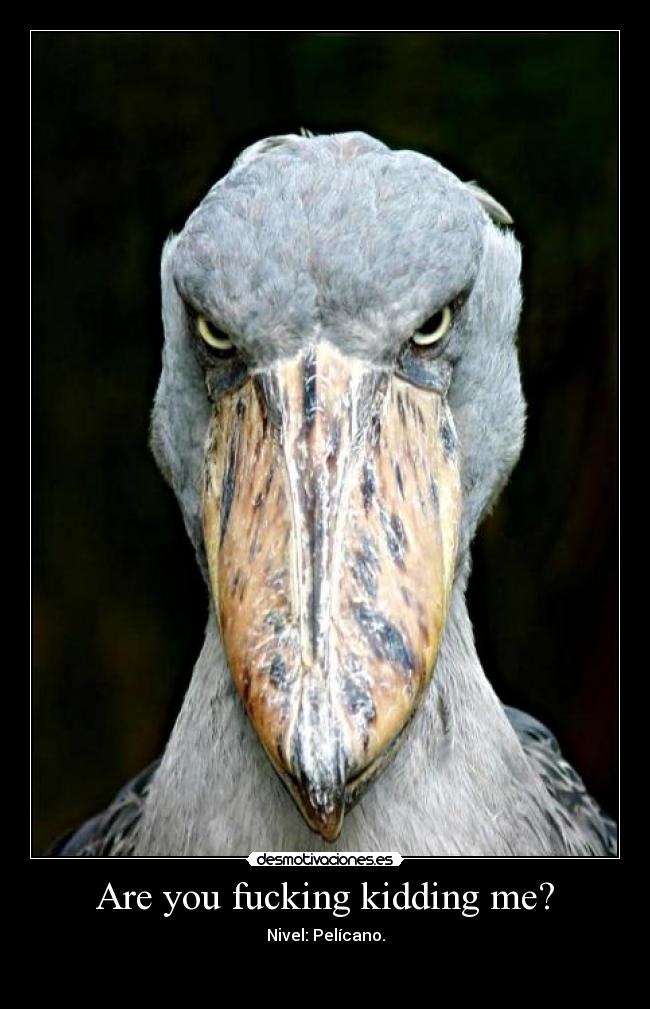 Are you fucking kidding me? -