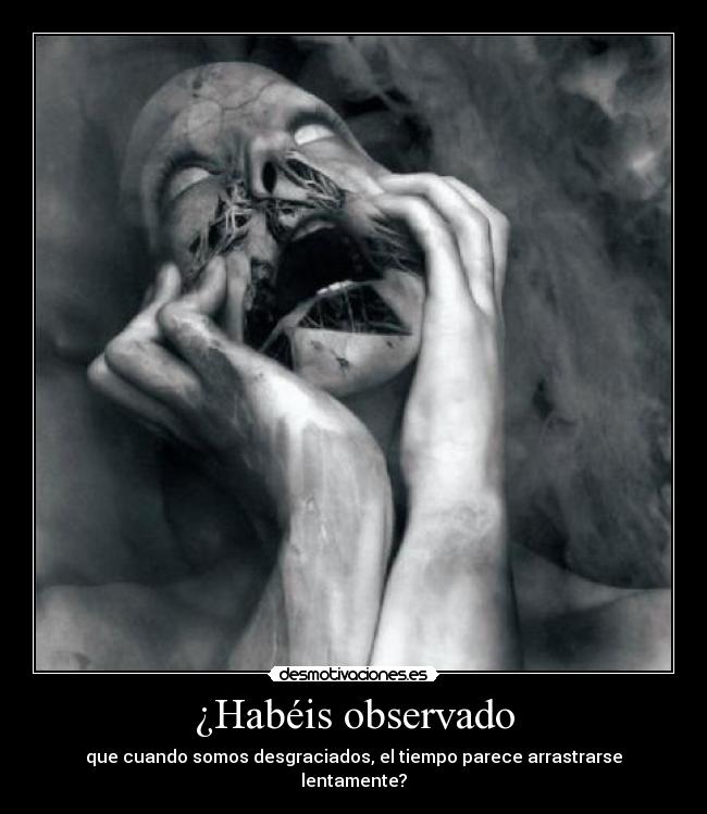 ¿Habéis observado - 