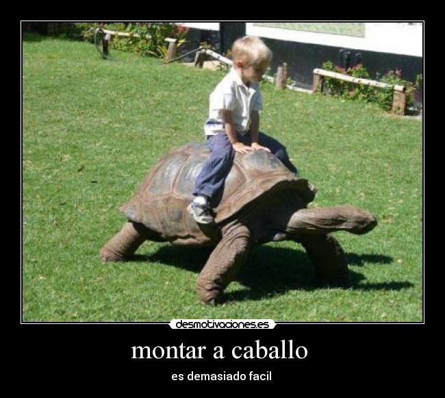 montar a caballo - es demasiado facil